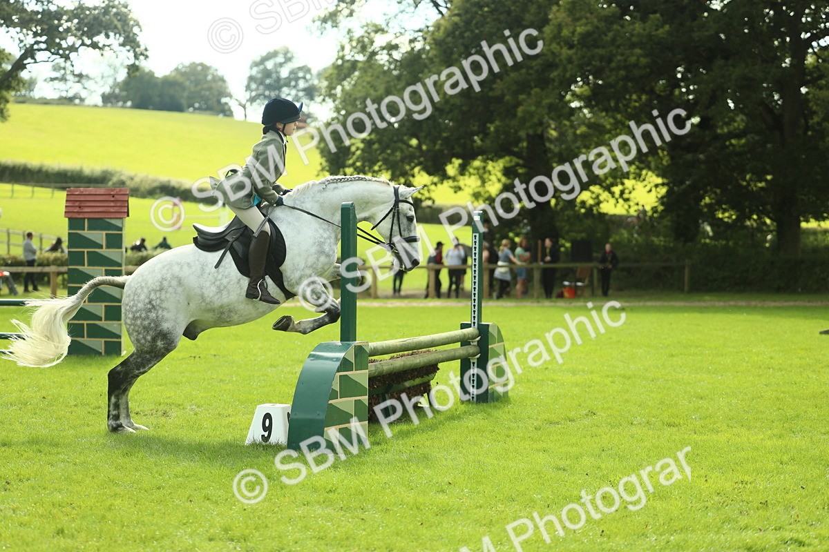 SBM_48007 - S32 - Novice & Newcomers Working Hunter