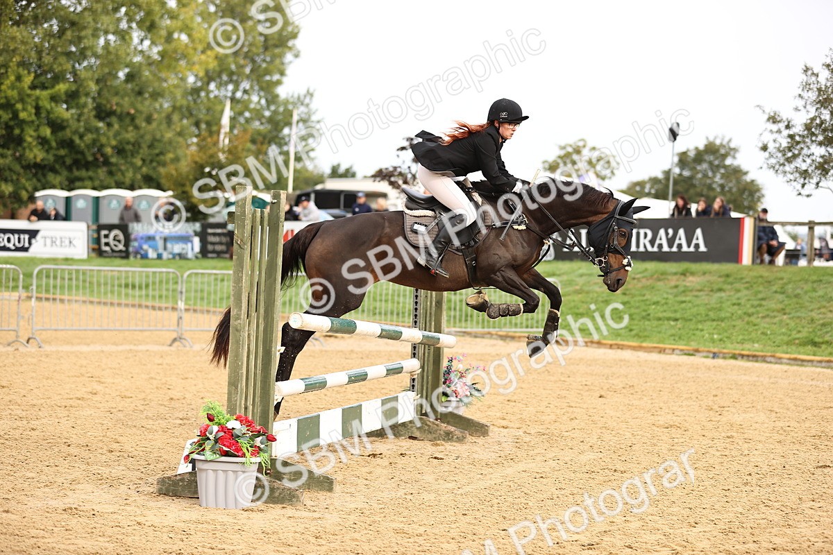 SBM_58461 - J41 - Grand Tour Horse & Pony 95cm