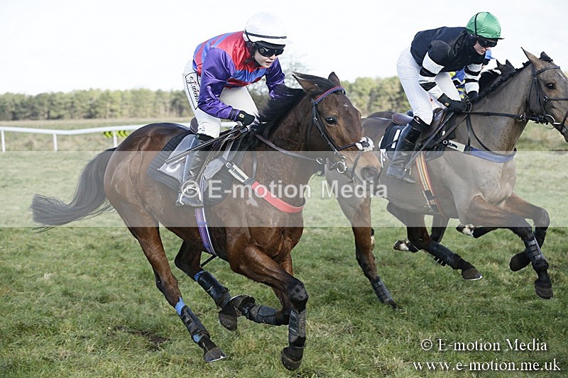 PtP 070118 -259 - Larkhill Racing Club Point to Point Larkhill 07/01/2018