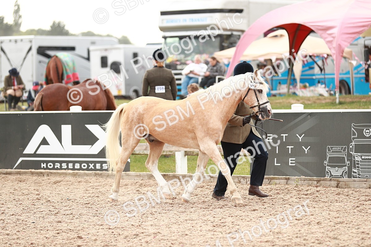 SBM_12472 - Class 207 IH M&M