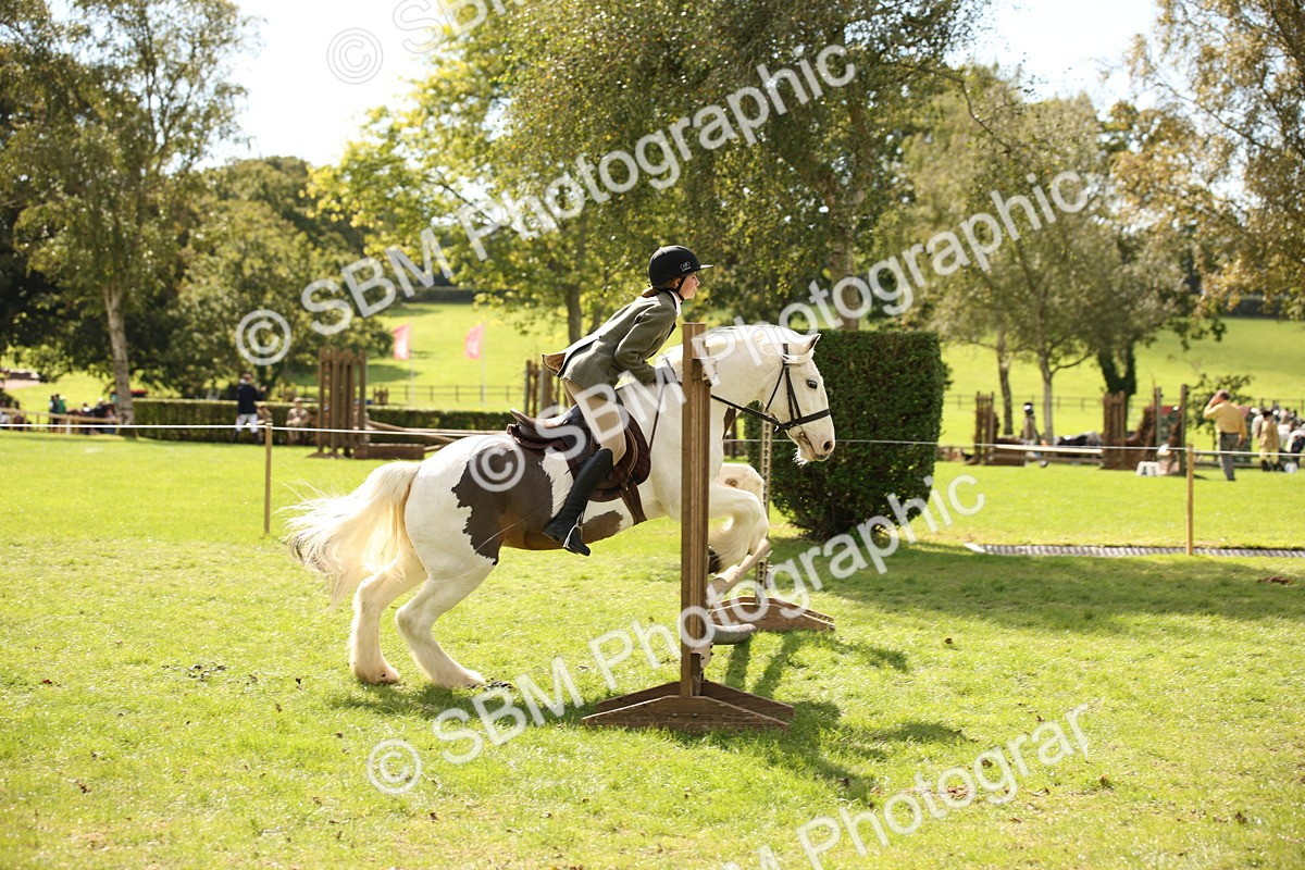 SBM_42291 - S13 - Pony Club Pony