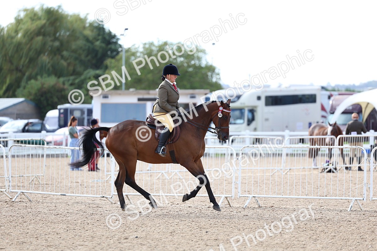 SBM_09164 - Class 303 - Ridden Pure Bred Horse Pony