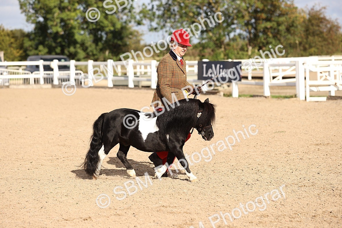 SBM_08559 - Class 402 - IH Veteran Pony