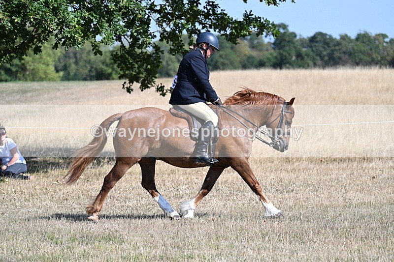 WJ7_3855 - Class 9 Mountain & Moorland Ridden