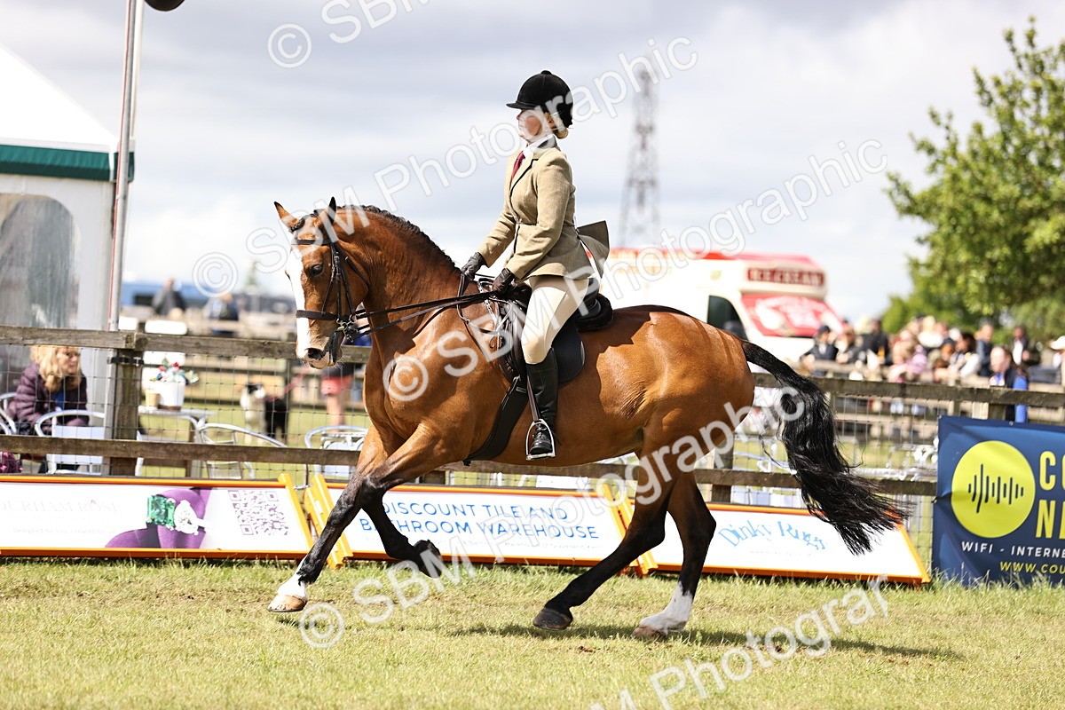 SBM_14537 - Class 88-89 - LIHS BSHA Rising Star of Ridden Hunter Type