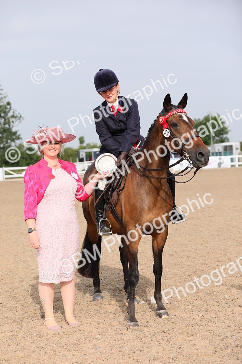 SBM_10726 - Class 303 Ridden Pure Bred Horse/Pony (excl M&M)
