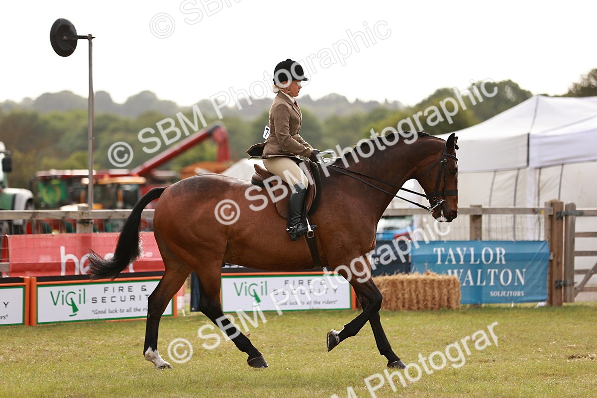SBM_10850 - Class 81-84 - RIHS Ridden hunters Inc Ladies Hunter