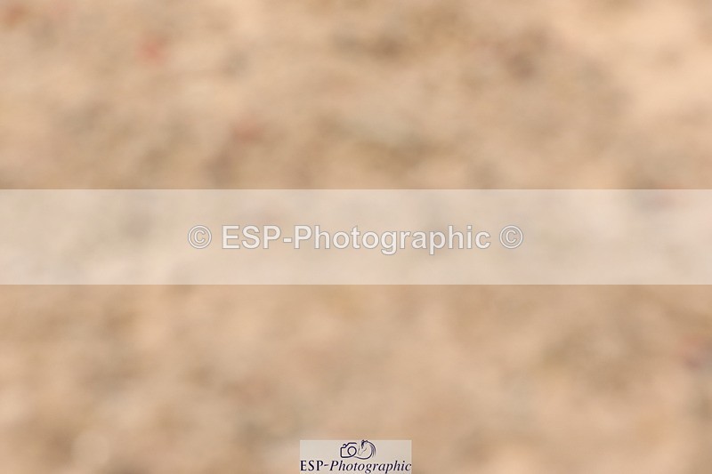 240622A-123417-09264 - Cls 30 BD Elementary 53