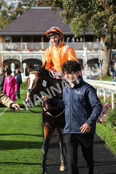 yr07102022r3-45 - Race 3 3.15pm British EBF £100,000 2yo Series Final (Colts and Geldings)