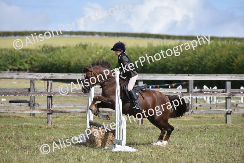 20250831-3920 - Class 11 - Working Hunter Pony 13hh and Under