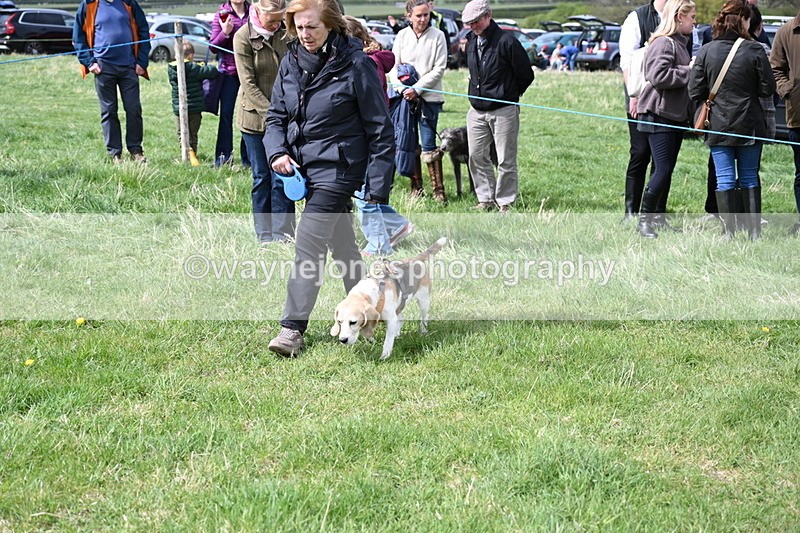 WJ6_8320 - Class 4 Prettiest Bitch