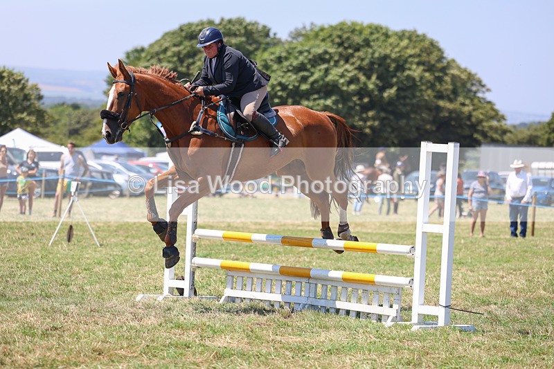 3E7A4413 - Class 10: Senior British Novice/90cm open
