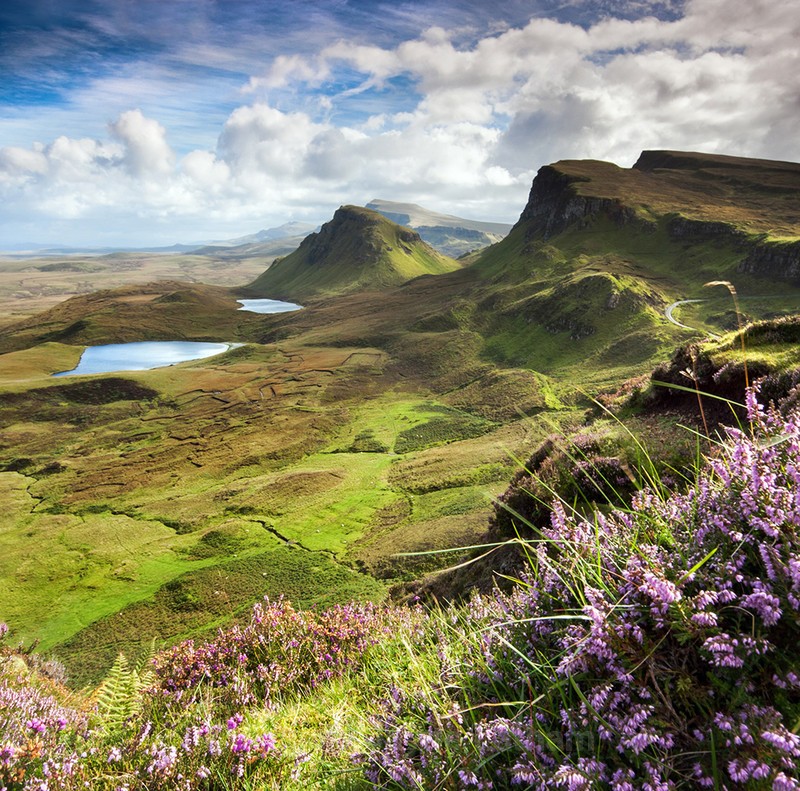 PS043 My Bonnie Heather , Isle of Skye - Scottish Landscapes