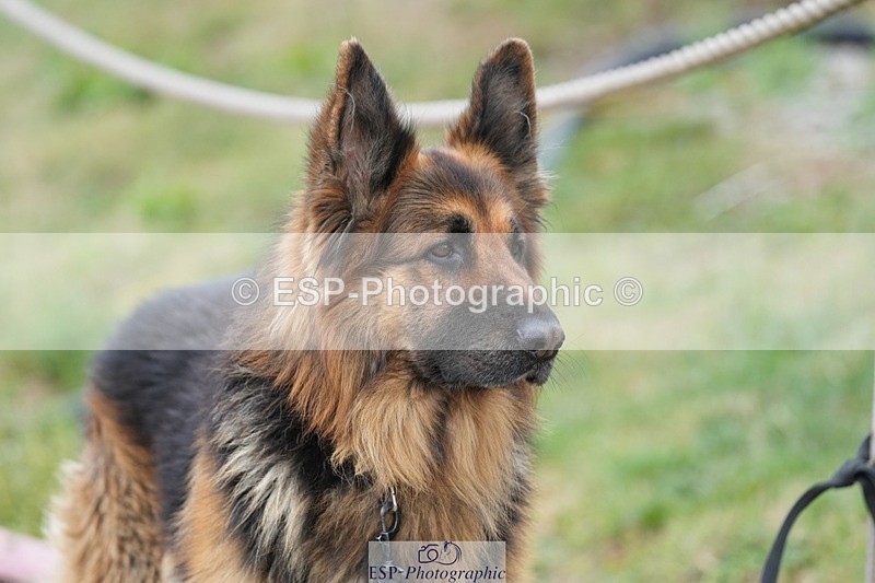 250727-142647-10757 - Cls 27 NAF Silver League Jump Off and Presentations