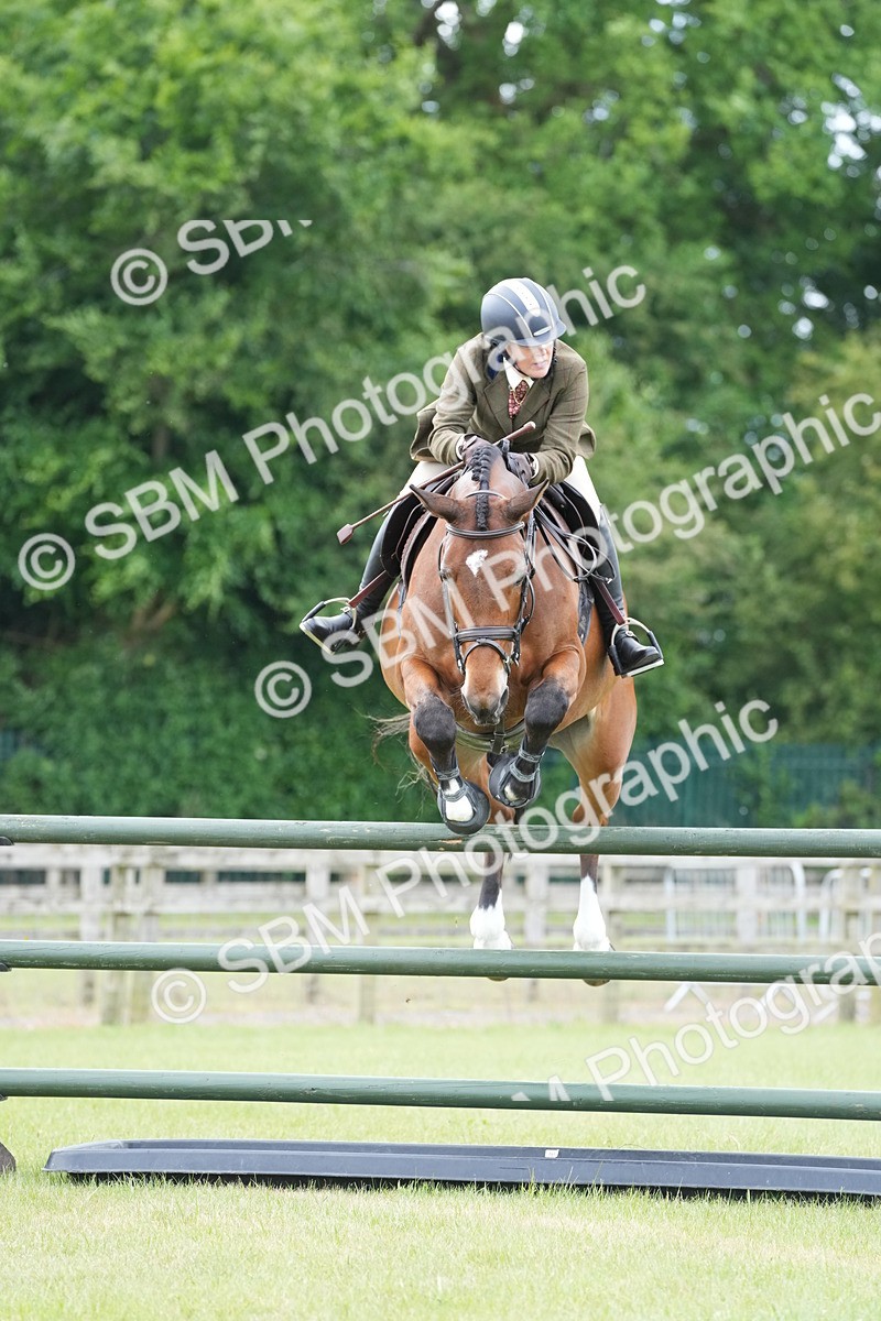 SBM_14975 - Class 100-102 - RIHS Working Hunter