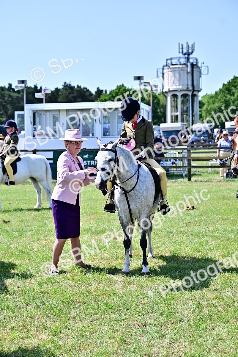 SBM_14036 - Class 95-97 - BSPS LHS Performance Ponies