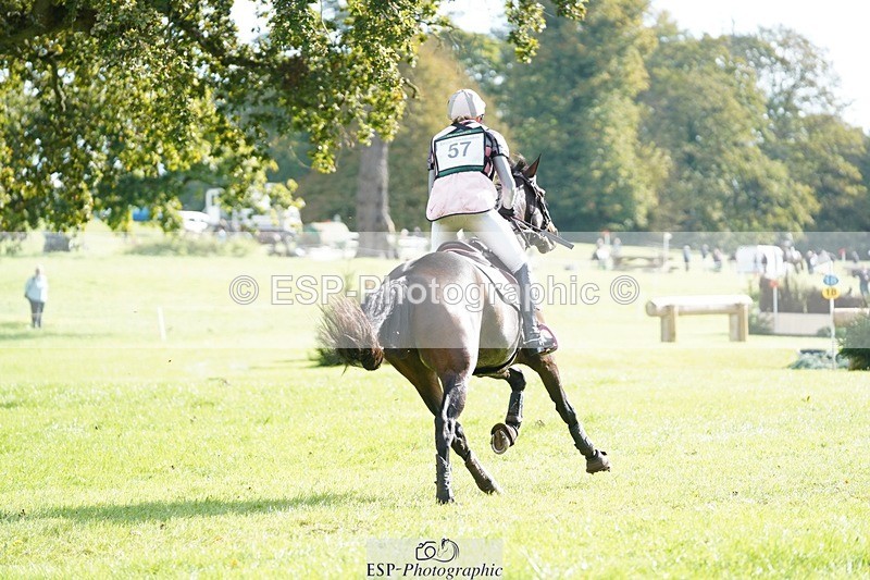 231020-115808-07009 - 057-OVERTON.TILANA'S.GOLD-Claire.Deuten-XC