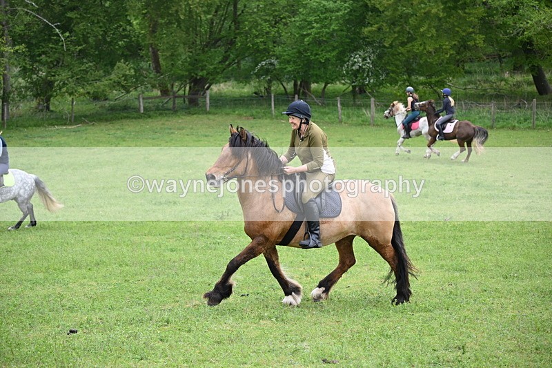 WJ6_3352 - A camera