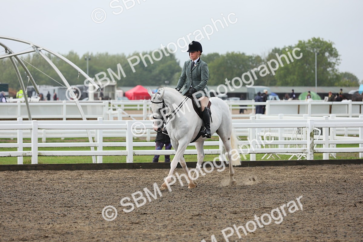 SBM_21269 - Class 805 - Ridden Veteran Horse