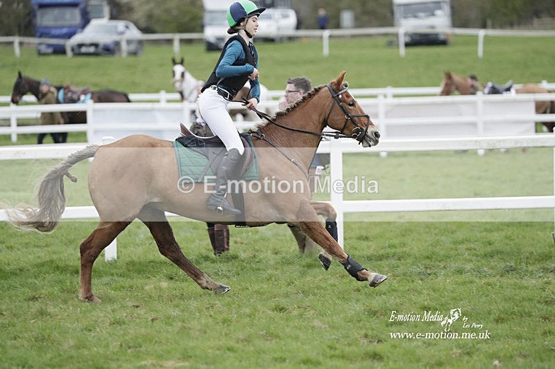 PtP 260323 0063 - New Forest Hounds Point-to-Point Larkhill 26/03/23