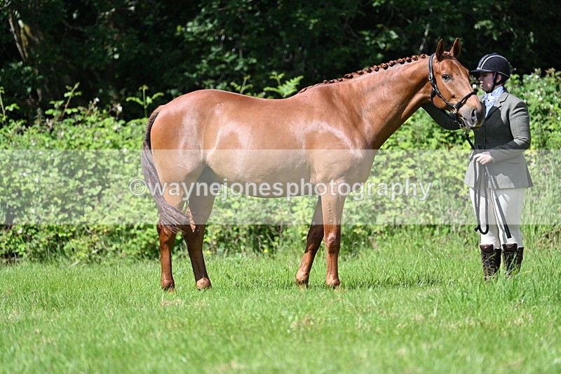 WJ7_1226 - Class 11 Condition & Turnout