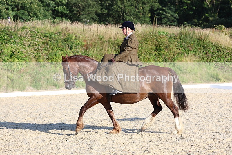 3E7A3835 - Class 3: Prelim 1 2024 Section A