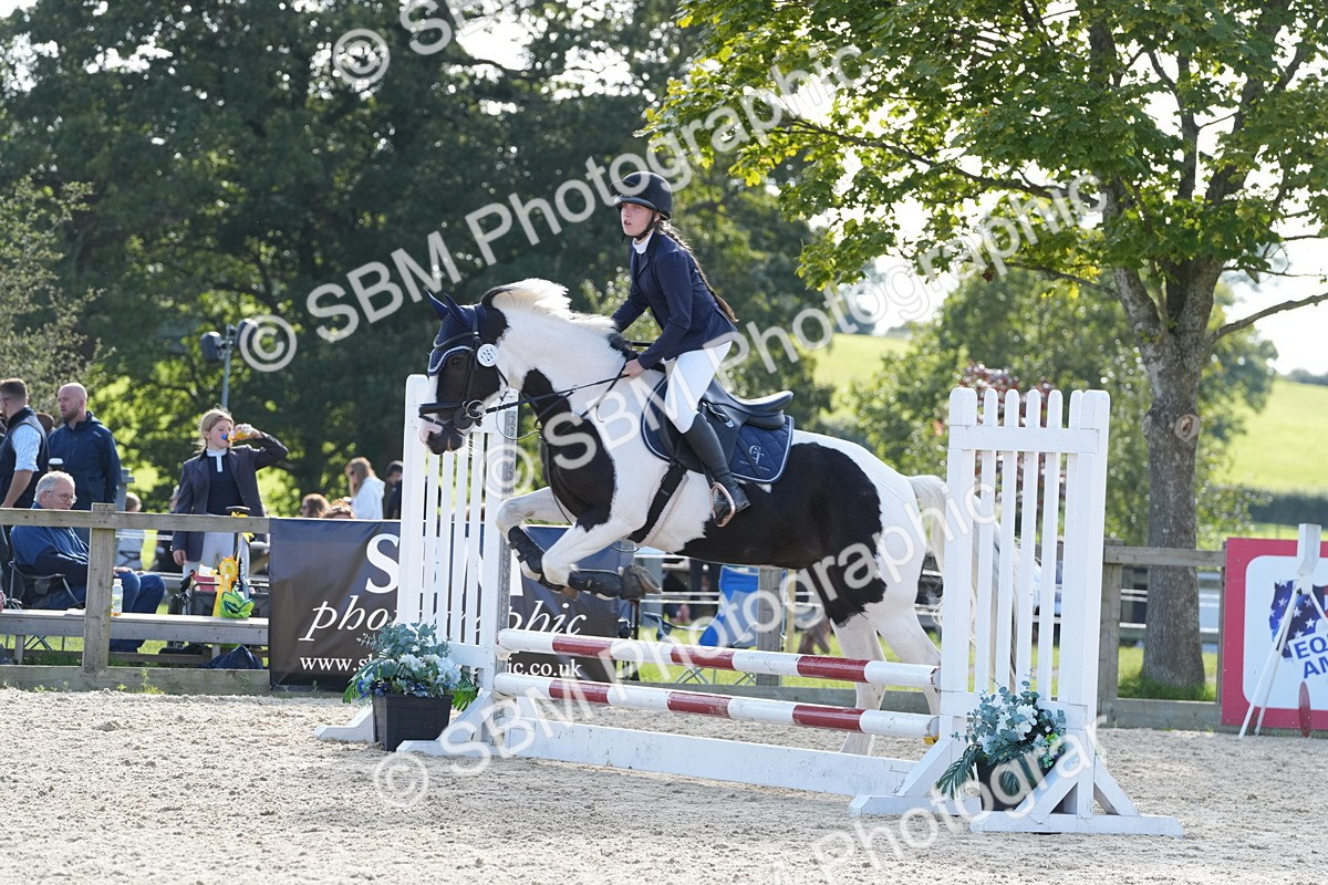 SBM_48746 - J22 - Junior Horse 65cm Championship