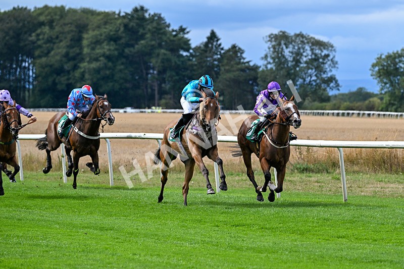 280826-Race 1-Hatamoto-4177 - Race 1 2.13pm AJA Novice Flat Amateur Jockeys' Handicap