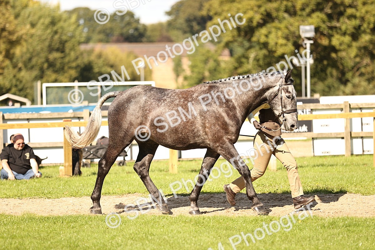 SBM_26186 - S5 - Novice & Newcomers In Hand