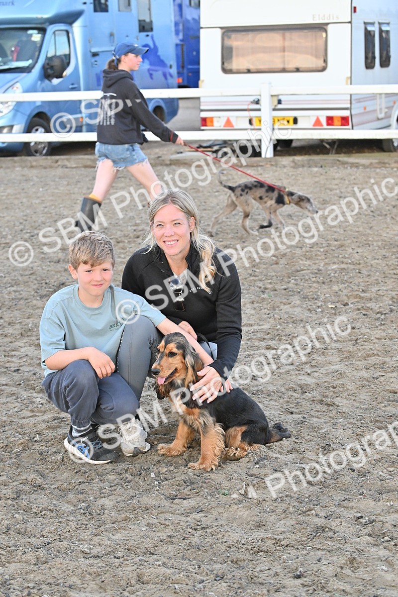 SBM_09596 - Lorry Dogs