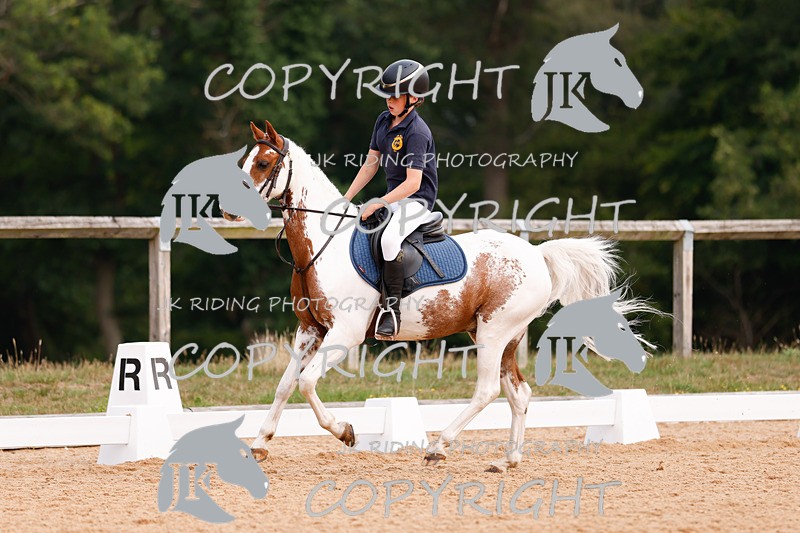 _R6A2625 - Dressage Morning