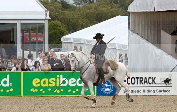  - Windsor Horse Show