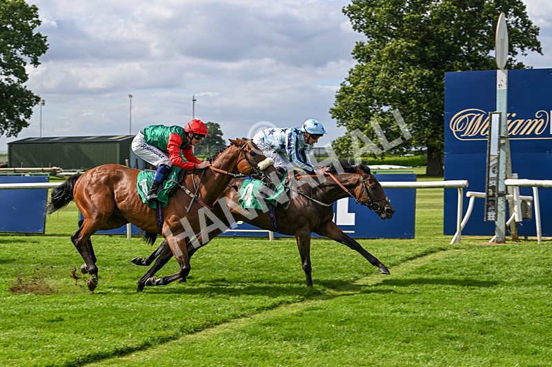 030824-Race 4-Cerulean Bay-1743 - Race 4