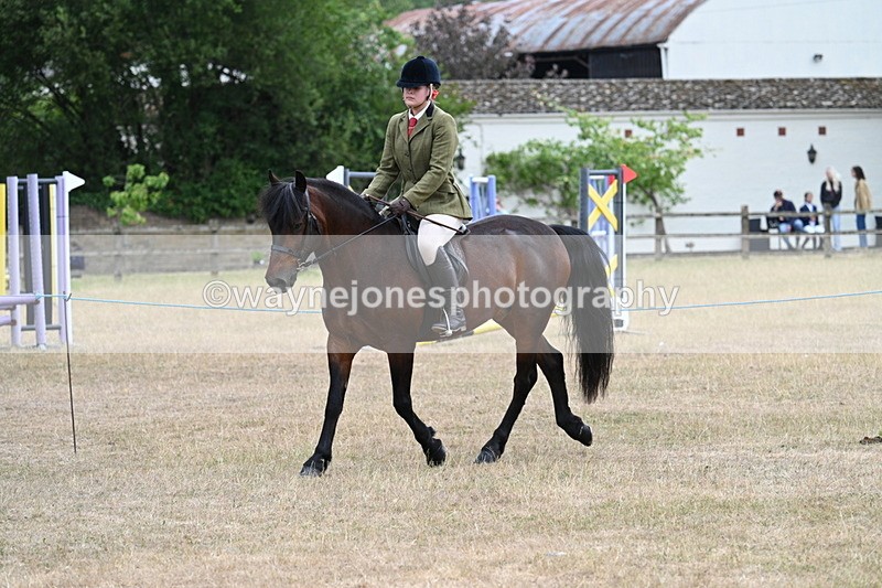 WJ7_0305 - Class 6 Ridden Mountain and Moorland