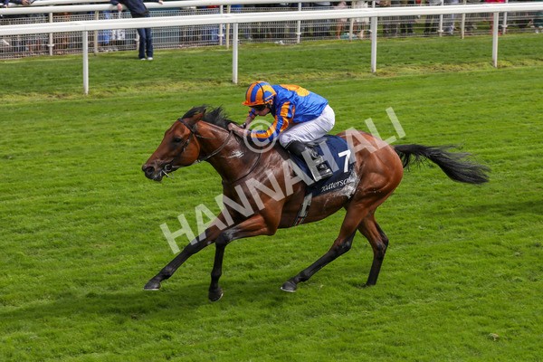 210824-Race 2-The Lion In Winter-7219 - Race 2 2.25pm Tattersalls Acomb Stakes