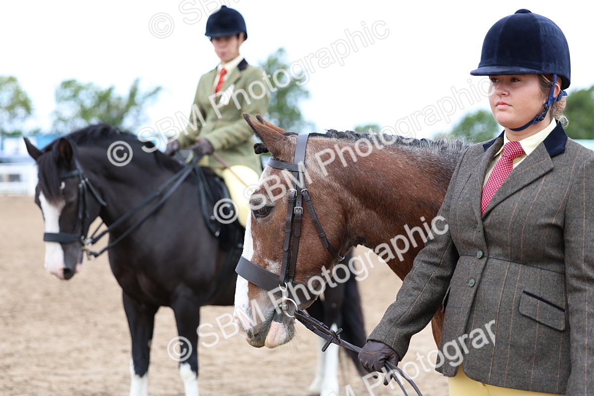 SBM_01494 - Class 17 - Prettiest Mare