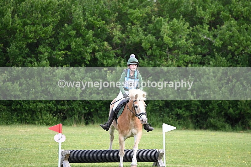 WJ6_2277 - Class 2 40cm