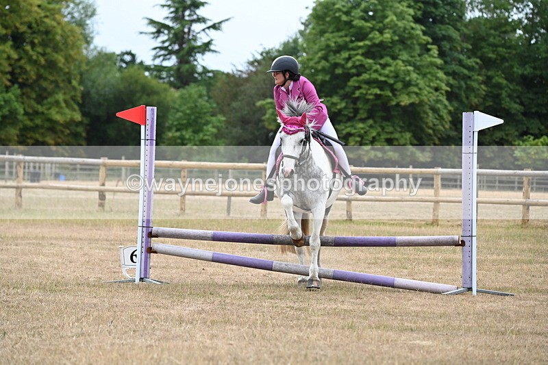 WJ6_0341 - Class 13 Novice Jumping 60cm