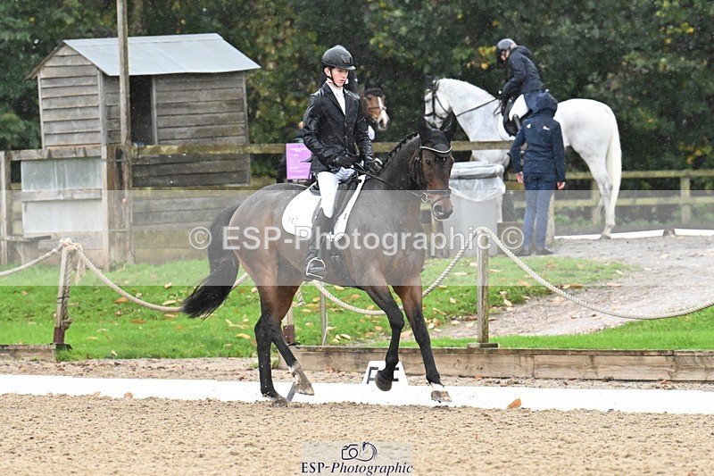 251023A-121125-02173 - B-142-Harry.Hodge