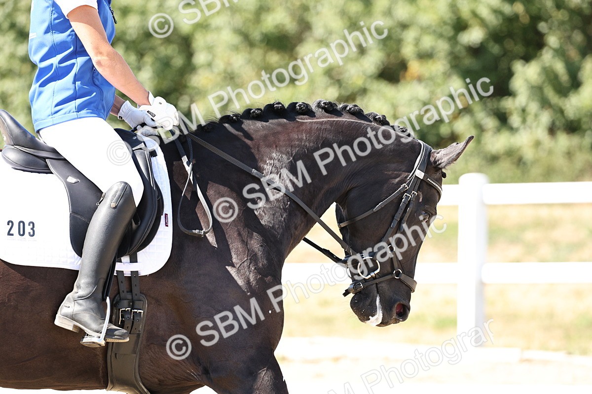 SBM_003374 - Prelim 4 - 13.41-16.04