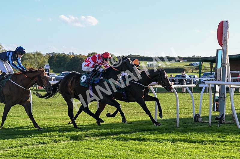 300926-Race 6-Wait For It-6913 - Race 6 4.50pm racingtv.com Handicap