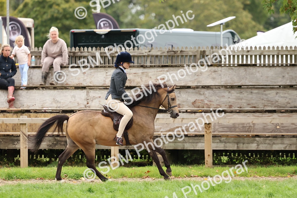 SBM_67460 - S61 - Mountain & Moorland Ridden