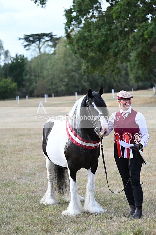 WJ7_8403 - In-hand Championship