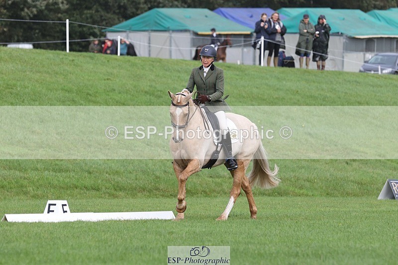 231019-111007-02571 - 612-CORRIEVIEW.MERLIN.MAGIC-Jane.Rogers-DR