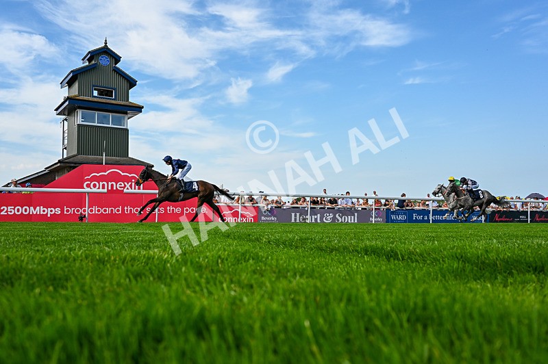 130826-Race 5-Wardlaw-5356 - Race 5 16.15pm Middle Distance Handicap