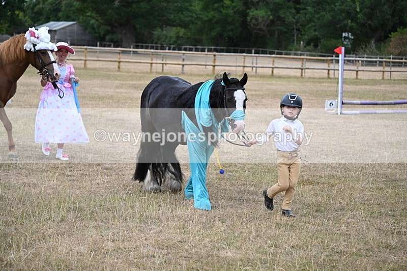 WJ6_8691 - Class 11 Fancy Dress
