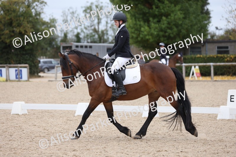 20250820-1221 - Class 18 - Elementary 5