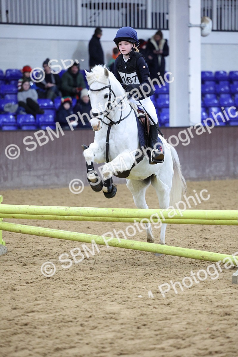 SBM_001010 - Class 3 - Christmas Tree Stakes - 60cm