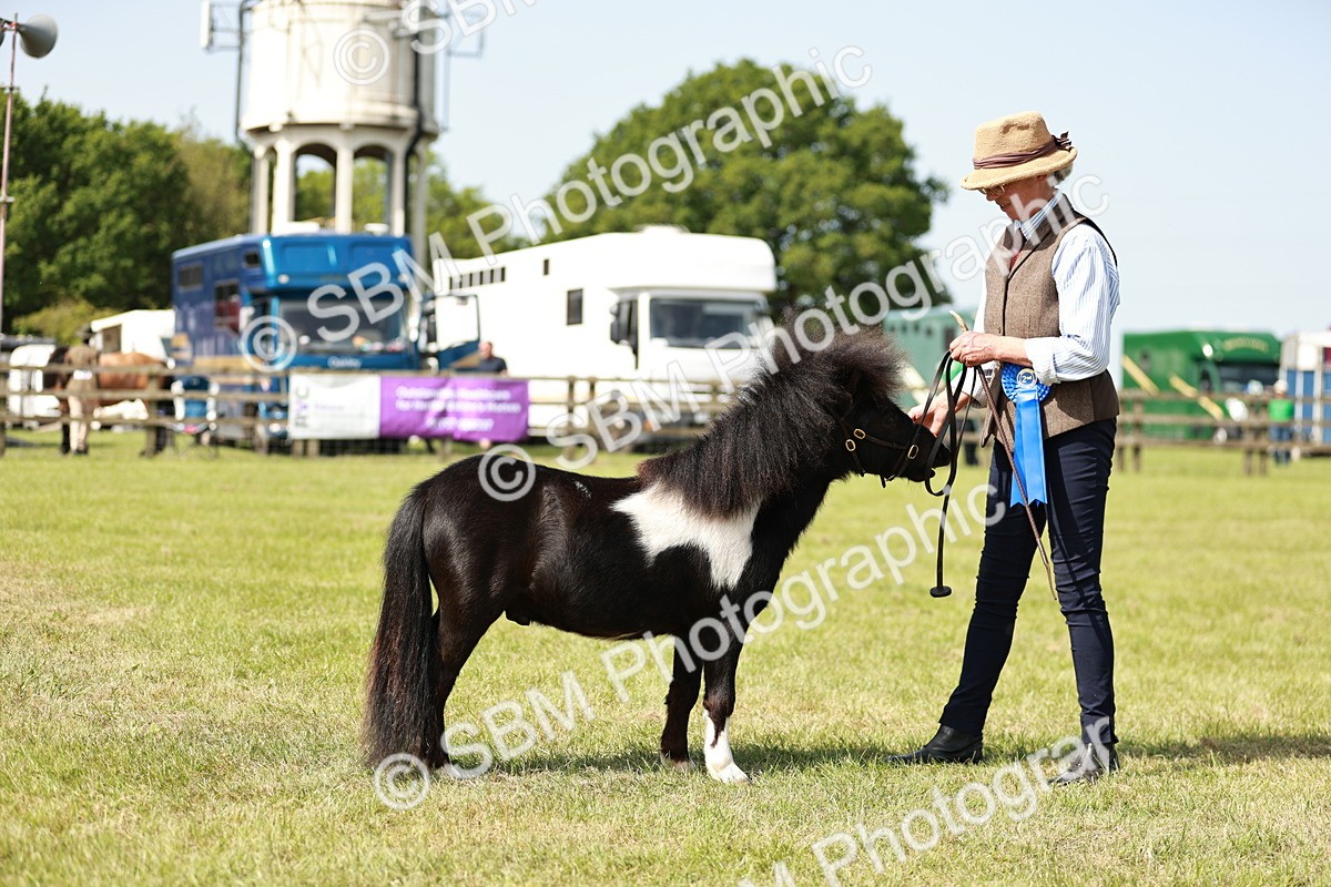 SBM_01934 - Class 14-23 - Mountain & Moorland In Hand Non Welsh