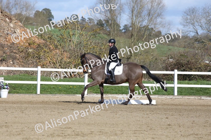 20260314-4069 - CT4 - Novice 1